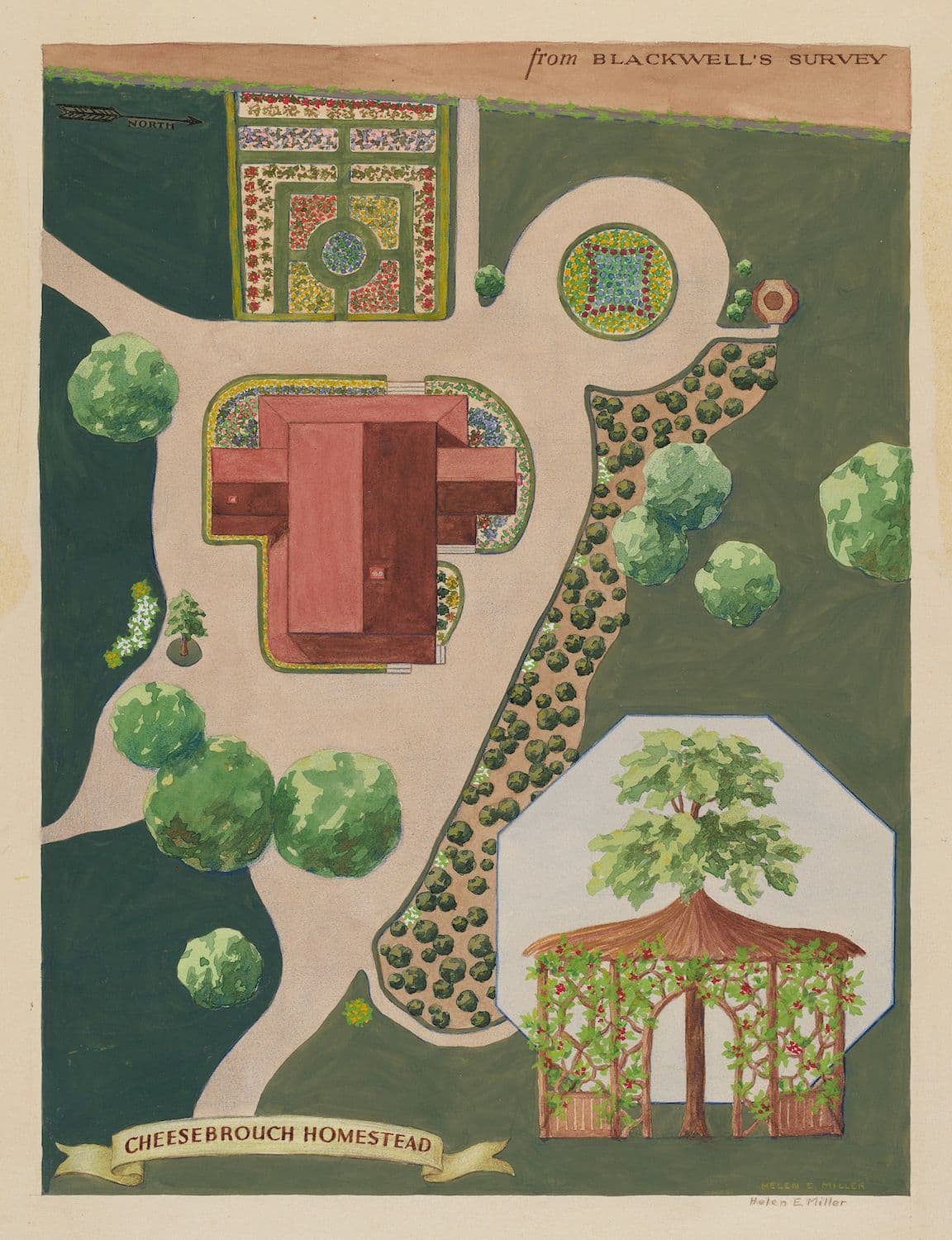 A vintage, hand-colored plan of the Cheesebrough Homestead, showing a formal garden layout with a large house, flowerbeds, trees, and a gazebo.