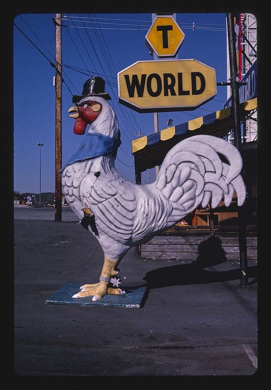 A large white rooster statue stands on a paved street in front of a yellow sign that reads 'WORLD' with the letter 'T' above it. The sky is a clear blue, and there are utility poles and a building in the background.